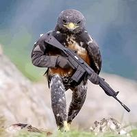 奇幻松鼠YwD头像