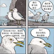 loreluo罗耳的个人资料头像