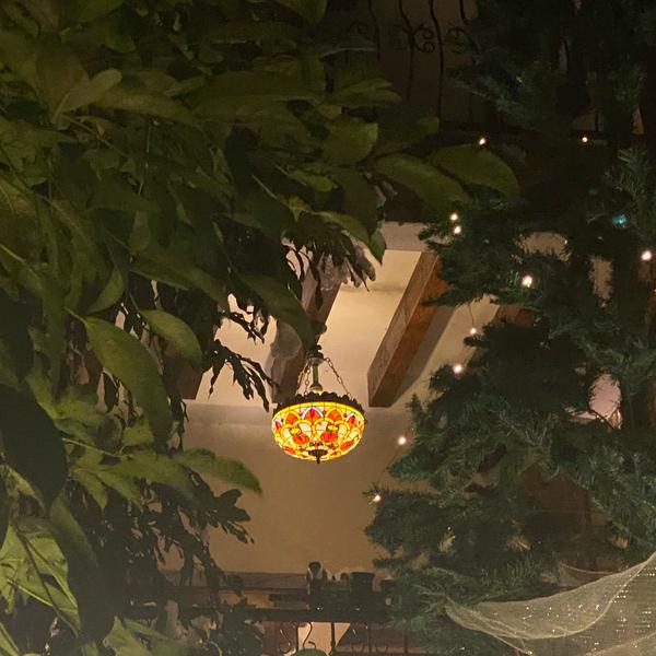 一横汽车生活头像