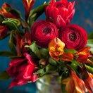 ping重名了67671的个人资料头像