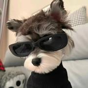 痴卡的个人资料头像