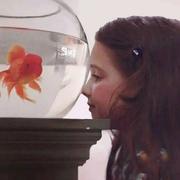 许小洁的个人资料头像