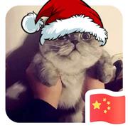 MrNing的个人资料头像