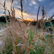 JBY95的个人资料头像