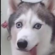 安堵的个人资料头像