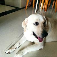 好名字可以让你的朋友更容易记住你7673头像