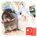 朱一旦的劳力士的个人资料头像