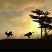 陈晨610的个人资料头像