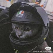 阿宁的365个想法的个人资料头像