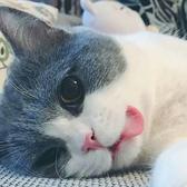 7秒钟的记忆头像