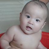 用户3312241818655头像