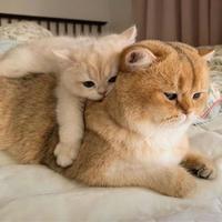 用户8449918304409头像