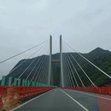 小杨同志8头像