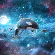 findwind的个人资料头像