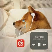 一心向佛的Python开发的个人资料头像