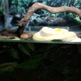 杰罗姆6361头像