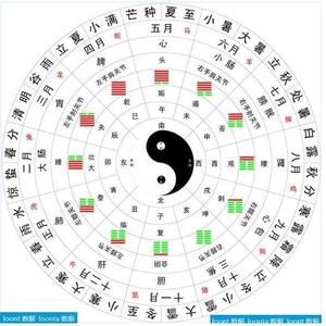 健康养生头像