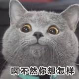 HenryOvO头像