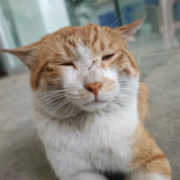 謝永远头像