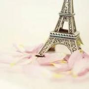 f1切图狗的个人资料头像