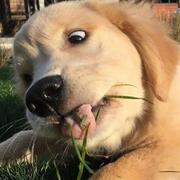 huajia的个人资料头像