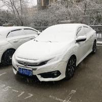 清新玉慧头像