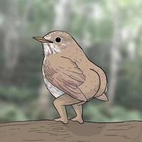 汤圆Brothers头像