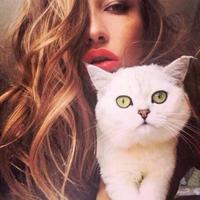 说你是逗比你就是头像