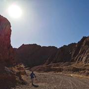 小妮子259的个人资料头像