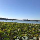 疯狂的医者头像