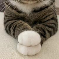 兔子的城堡2013头像