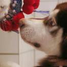 阿李的个人资料头像