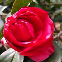 风清扬153668452头像