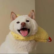 Do165的个人资料头像