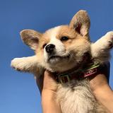 这几天真的热头像