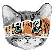 aqua_橙橙子的个人资料头像