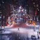 Castle酱的个人资料头像