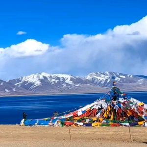 乘风破浪凉柚子头像