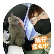 纷飞的个人资料头像