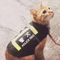 买了70w中配的用户头像