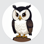 小鸮的觉醒的个人资料头像