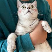 陈博文329的个人资料头像