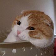 Bubbleinpit的个人资料头像