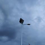 花花一绿叶头像