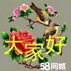 阳泉美丽家装头像