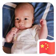 张文民的个人资料头像