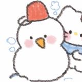 坚果葵560头像