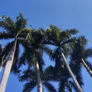 修行120的个人资料头像