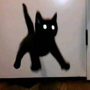 AAALzcy的个人资料头像