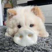 1000Doves的个人资料头像